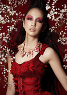 THE ACOUSTIC 2016 〜MIKA NAKASHIMA 1st Premium Tour〜 和光市民文化 